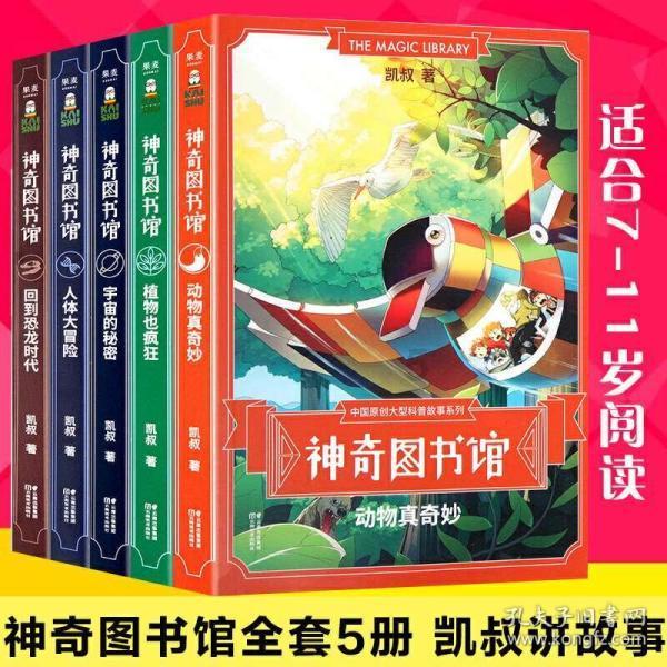 公主的夏季舞会